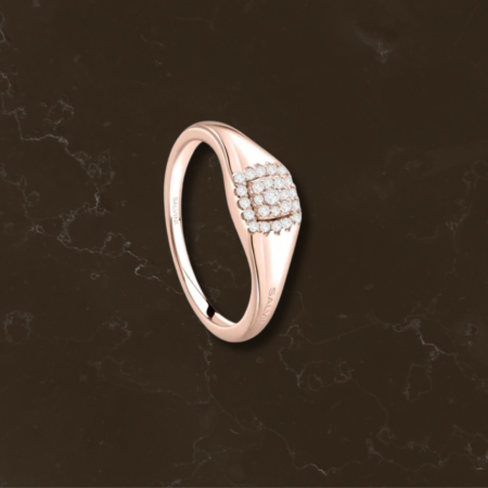 anello chevalier Salvini